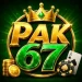 Pak67 Game