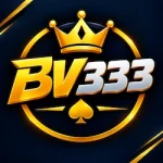 BV333 Game