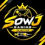 Sowj Gaming Injector