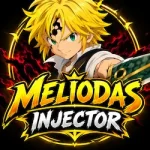 Meliodas injector